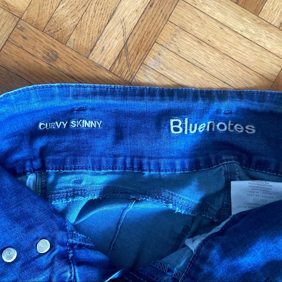 Bluenotes - High Rise Skinny Jeans - Size 25 - Picture 3 of 11